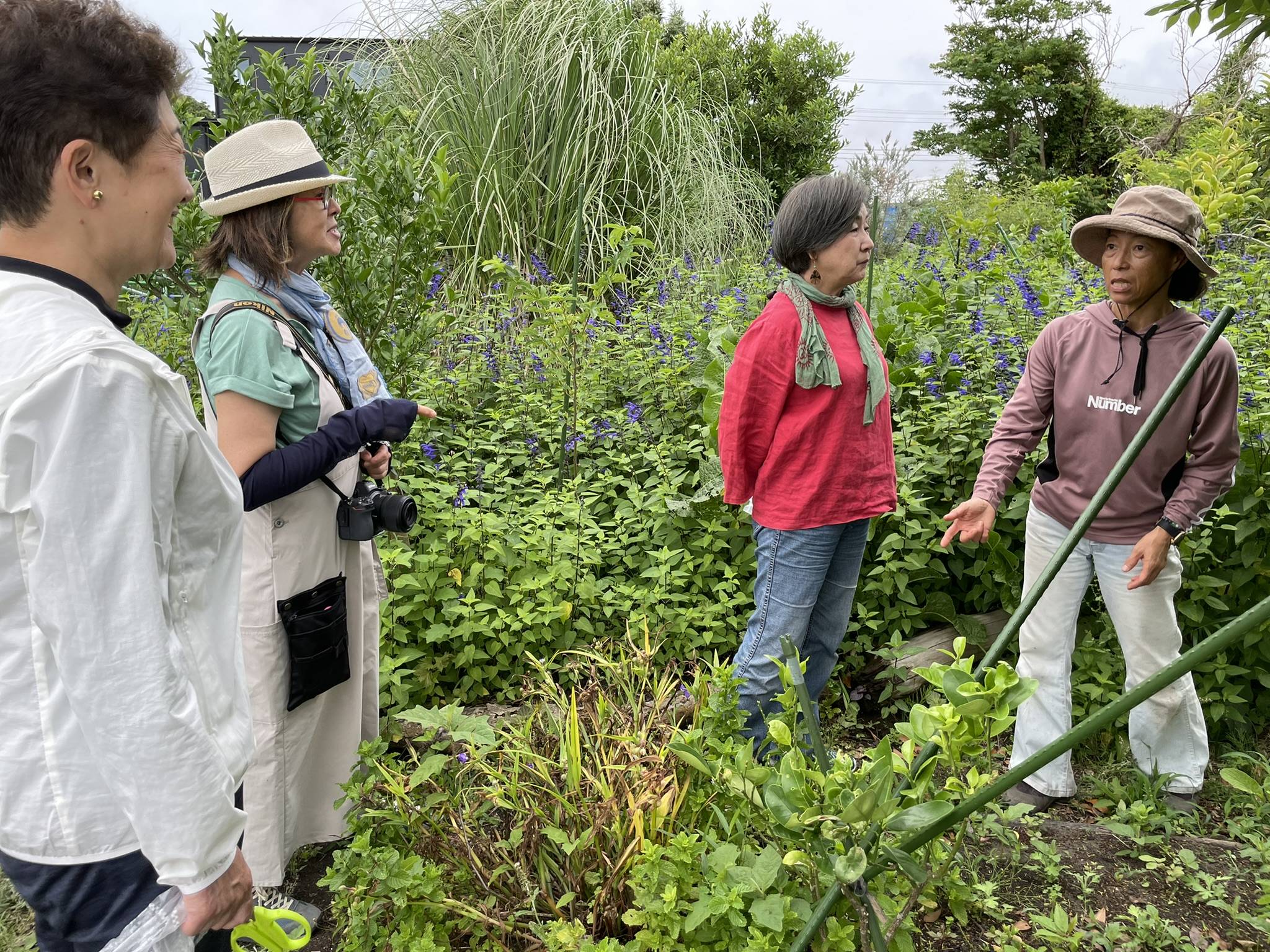 On Chiba's coast, a secret herb garden thrives - The Japan Times