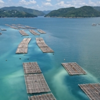 Oyster cages in the waters off the town of Hinase, Okayama Prefecture, in August 2020 | SATOUMI RESEARCH INSTITUTE
