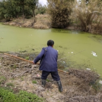 A farmer works on a polluted river in Shanghai. Nut Brother has been able to keep exposing some of China’s more egregious pollution problems partly because his campaigns align with President Xi Jinping’s own policy goals | REUTERS
