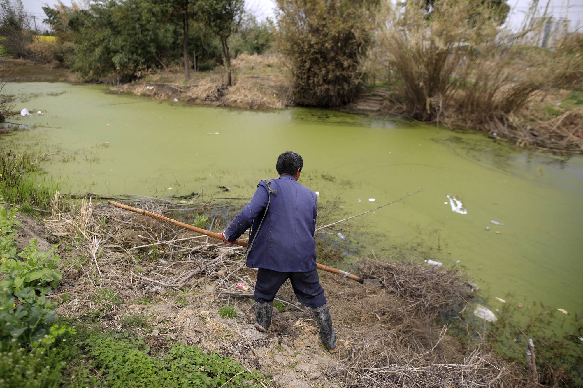 A farmer works on a polluted river in Shanghai. Nut Brother has been able to keep exposing some of China’s more egregious pollution problems partly because his campaigns align with President Xi Jinping’s own policy goals | Reuters
