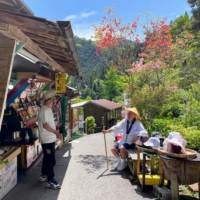 Larry Bates says speaking to monks and merchants and soaking in Shikoku\'s bucolic scenery did wonders for his transition to retired life. | COURTESY OF LARRY BATES