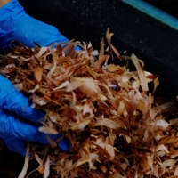Far from just sushi, katsuo (bonito, or skipjack tuna) is also used to make ingredients integral to many elements of Japanese cuisine. | REUTERS