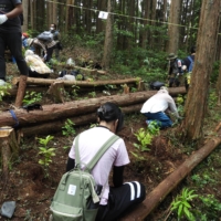 Hundreds of volunteers planted new saplings on the slopes of Mount Tsukuba in accordance with Miyawaki method  | JOAN BAILEY