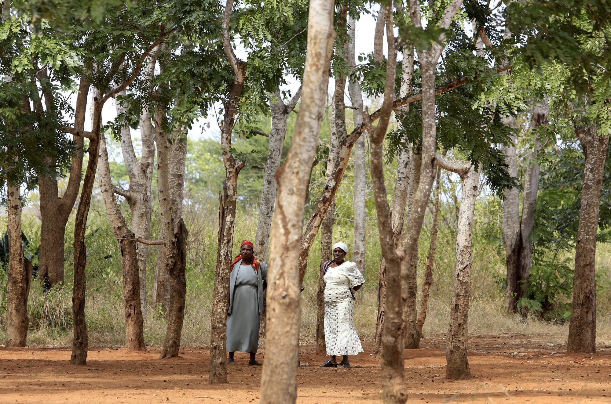 Women take shelter from the sun under the cover of trees planted by school children at a primary school in Kibwezi, east of Kenya's capital Nairobi, in June 2014. | REUTERS