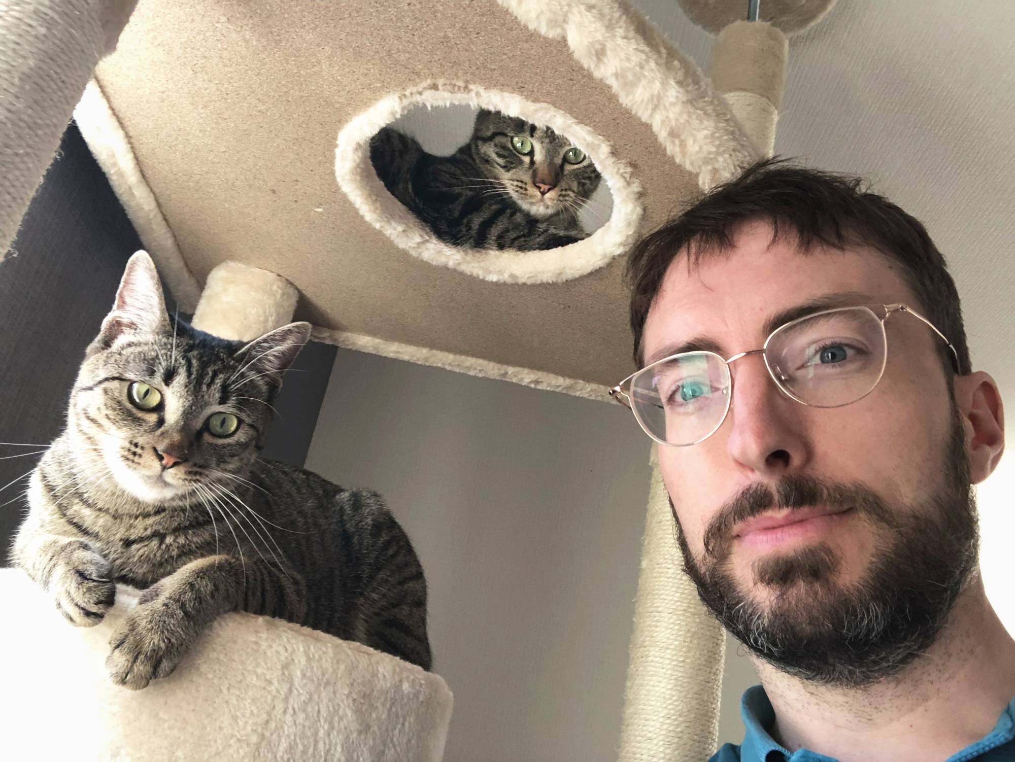 U.K. native Steven Forrester poses for a shot with his two new cats, Shandy and Paloma. | COURTESY OF STEVEN FORRESTER