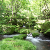 One of the 21 Suntory Natural Water Sanctuaries located in Japan  | © SUNTORY HOLDINGS