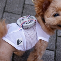 A female pet dog named Moco wears a battery-powered fan outfit developed by clothing maker Sweet Mommy, in Tokyo last week. | REUTERS