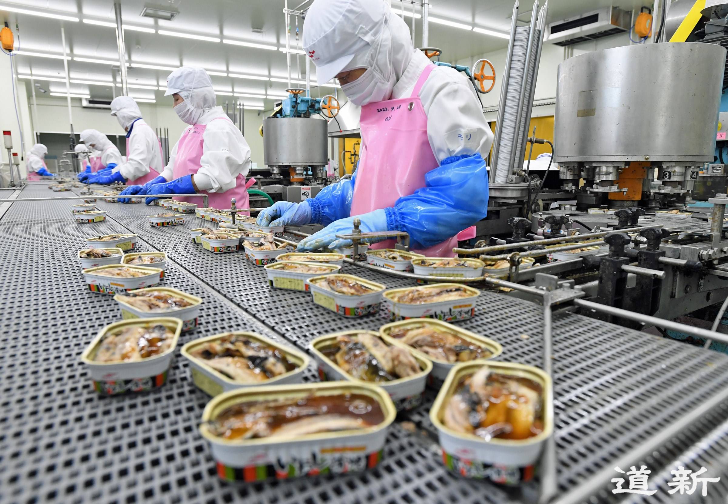 Production line for canned sardines at Maruha Nichiro Kitanippon's Kushiro plant in Hokkaido. The factory is facing rising costs for raw materials and fuel. | HOKKAIDO SHIMBUN