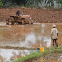 Farmers prepare fields for the cultivation of a rice paddy on the outskirts of Bangalore. Traders are worried that a drop in rice production will complicate India’s inflation fight and trigger restrictions on exports.  | AFP-JIJI
