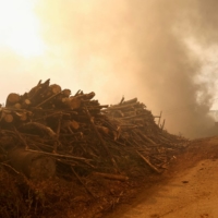 Smoke billows after a wildfire, in Leiria, Portugal, on July 13. As climate change accelerates and supply chain disruptions offer rich-world consumers an unaccustomed taste of scarcity, some have started to ponder what a de-growth world might look like. | REUTERS