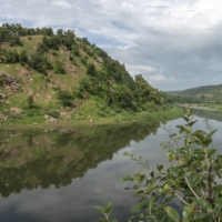 The forested area where Bilkis Bano, a Muslim woman, was raped by a Hindu mob in 2002, in Chapparward, India.  | SAUMYA KHANDELWAL / THE NEW YORK TIMES