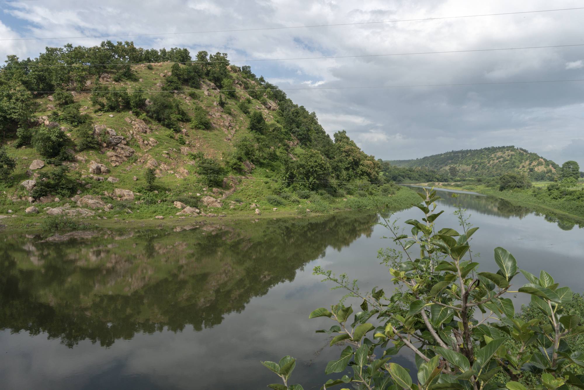 The forested area where Bilkis Bano, a Muslim woman, was raped by a Hindu mob in 2002, in Chapparward, India. | Saumya Khandelwal / The New York Times