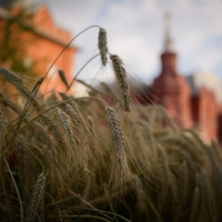 Darya Dugina, daughter of prominent ideologue Alexander Dugin, was killed Saturday after a suspected explosive device detonated on the Toyota Land Cruiser she was traveling in, investigators from the Moscow region said in a statement. | AFP-JIJI