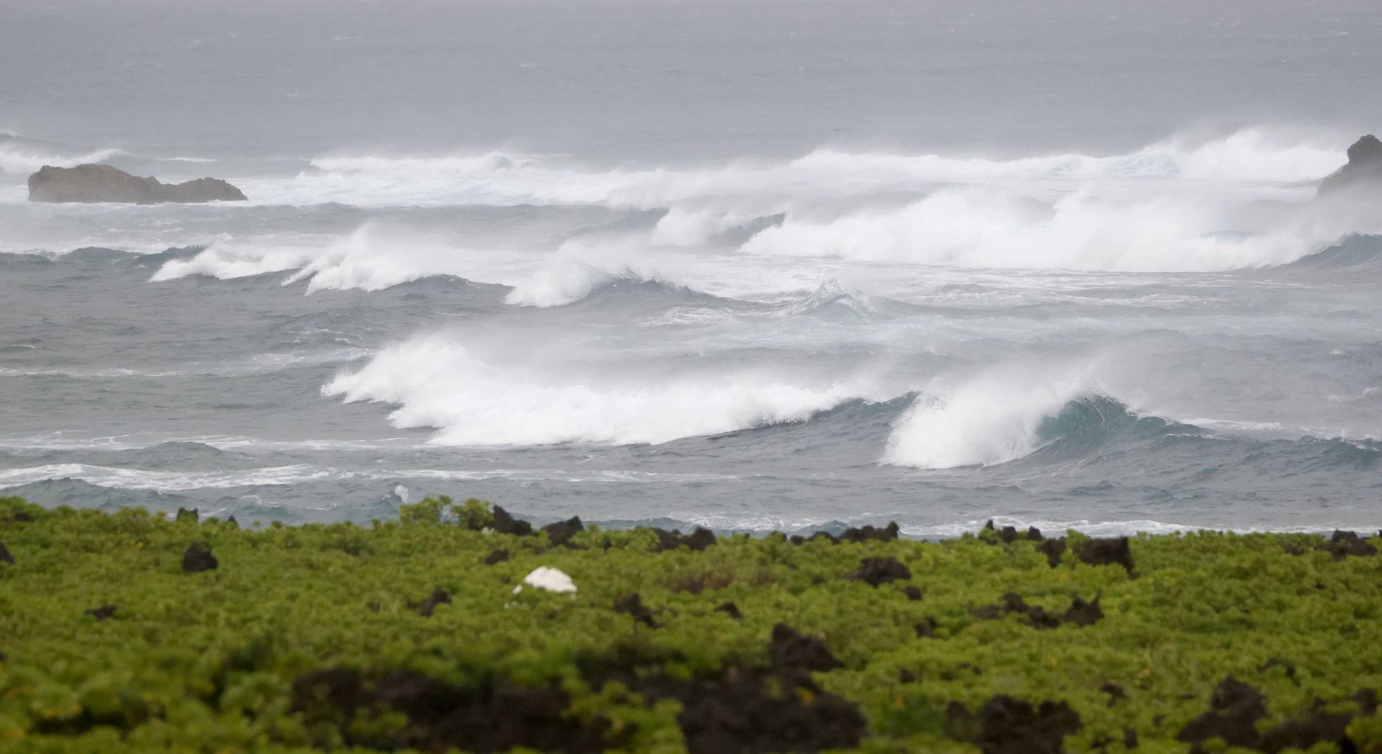 Large waves caused by Typhoon Hinnamnor are seen Saturday from Yomitan village on Okinawa's main island.  | KYODO 