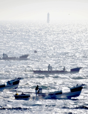 Kelp fishing boats on the waters off the Habomai group of islets in June 2019 | KYODO