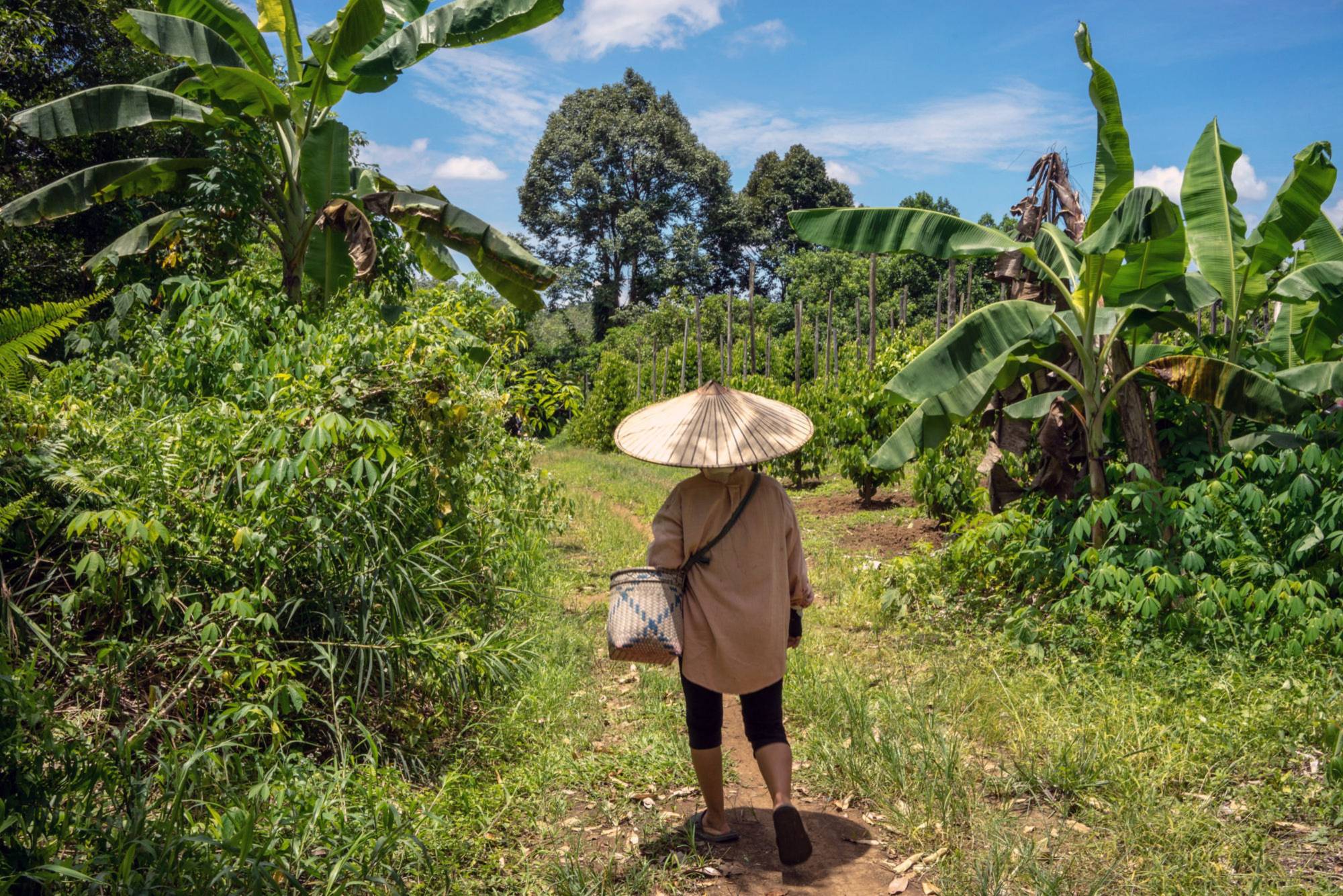 United Nations sustainable development goals were supposed to end poverty and protect the planet by 2030. But the latest SDG report is casting a dark cloud over that effort.   | BLOOMBERG 