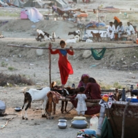 Displaced people take refuge in a camp following rains and floods during the monsoon season in Sehwan, Pakistan, on Thursday. | REUTERS