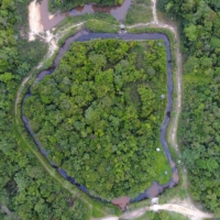 In the Indonesian part of the island of Borneo, the Indigenous community of Sungai Utik has been protecting 10,000 hectares of land for decades. Activists call it an inspiring example of a victory for Indigenous rights — but in many places, local communities are struggling to protect vital biodiversity. | BLOOMBERG