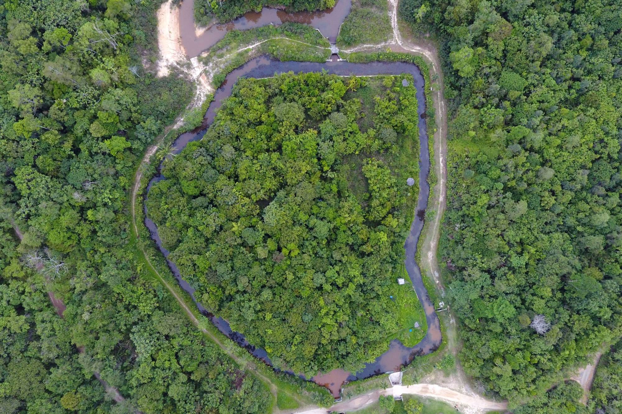 In the Indonesian part of the island of Borneo, the Indigenous community of Sungai Utik has been protecting 10,000 hectares of land for decades. Activists call it an inspiring example of a victory for Indigenous rights — but in many places, local communities are struggling to protect vital biodiversity. | BLOOMBERG