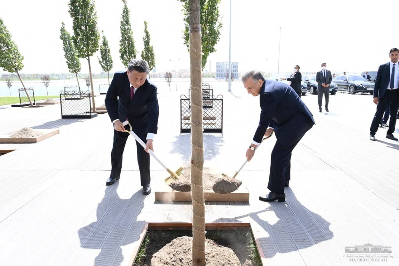 Chinese leader Xi Jinping and Uzbekistan President Shavkat Mirziyoyev plant a tree as they meet on the sidelines of the Shanghai Cooperation Organization summit in Samarkand, Uzbekistan, on Thursday.  | PRESS SERVICE OF THE PRESIDENT OF UZBEKISTAN / VIA REUTERS