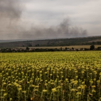 Above a field of sunflowers, smoke rises from the direction of Soledar, a town on the front lines in Ukraine, on Aug. 26.  | JIM HUYLEBROEK / THE NEW YORK TIMES