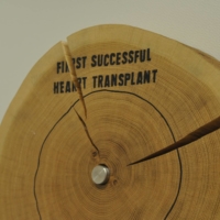 Roman Ondak’s “Event Horizon” at Aichi Triennale 2022 | THU-HUONG HA
