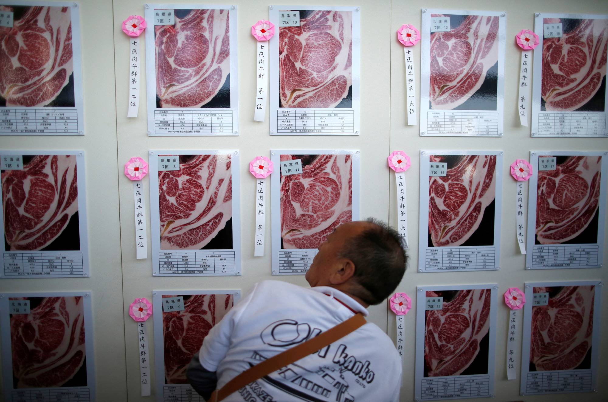 A man inspects images of award-winning carcasses of beef at the 