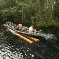 Illegal loggers remove timber along a river in a forest south of Sampit in Indonesia\'s Central Kalimantan province in November 2010. Rainforests cover 60% of Indonesia, and yet the country is one of the world\'s leading emitters of the greenhouse gas blamed for global warming. | REUTERS
