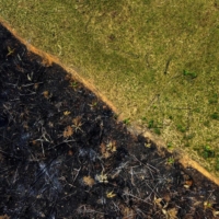 Aerial view of a burnt area in Labrea, southern Amazonas State, Brazil, on Sept. 17 | AFP-JIJI