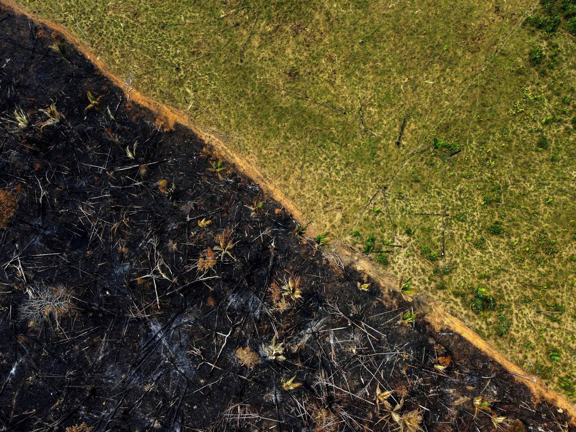 Aerial view of a burnt area in Labrea, southern Amazonas State, Brazil, on Sept. 17 | AFP-JIJI
