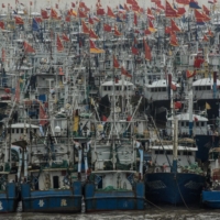 Fishing boats in Zhoushan, China\'s largest fishery, in September 2015. With its own coastal waters depleted, China has built a global fishing operation unmatched by any other country. | GILLES SABRIE / THE NEW YORK TIMES