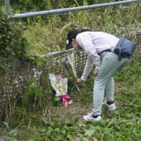 A woman lays flowers near the site where the body of a girl was found in Ichikawa, Chiba Prefecture, on Wednesday. | KYODO