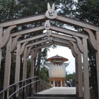 This way to Totoro | THU-HUONG HA