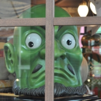 Kashira is keeping an eye on things. | THU-HUONG HA