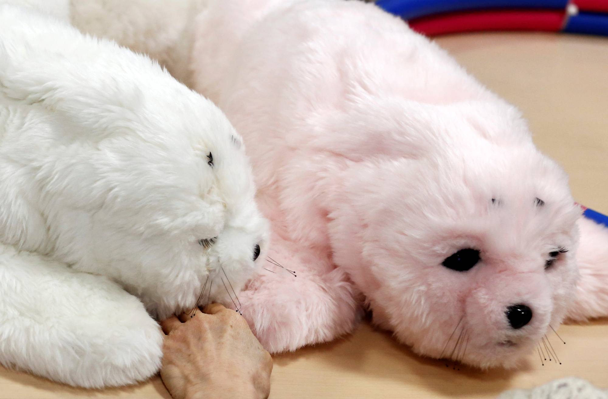 Japan-made robot seal Ukrainian children in Poland - Japan