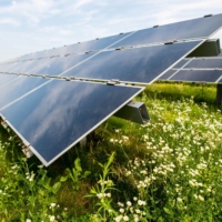 Despite businesses setting more ambitious environmental targets, the phenomenon known as \"green hushing\" continues to grow. | BLOOMBERG