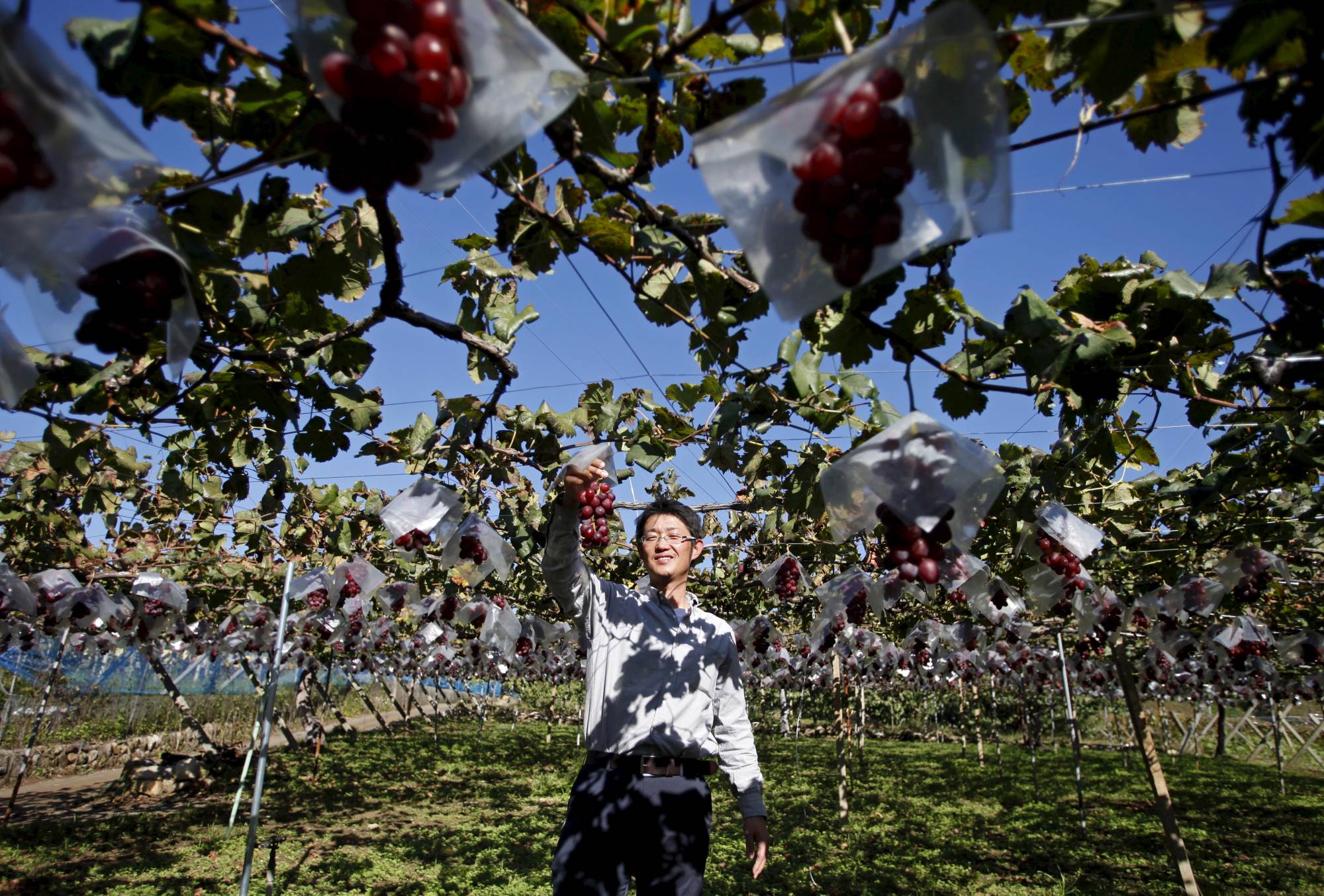 Japan Times