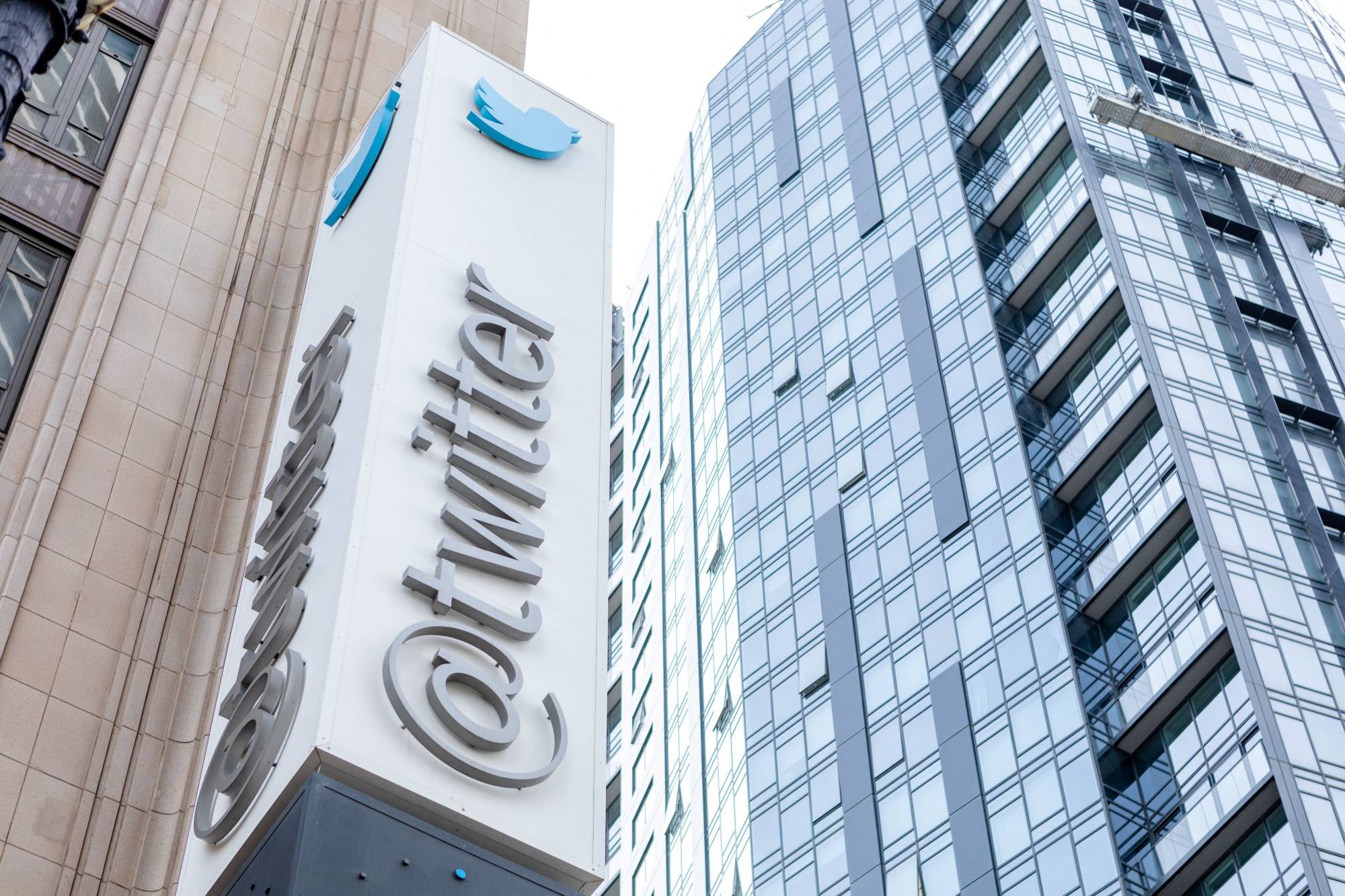 Twitter now has close to 3,700 employees, after dismissing around the same number by email last week. | AFP-JIJI