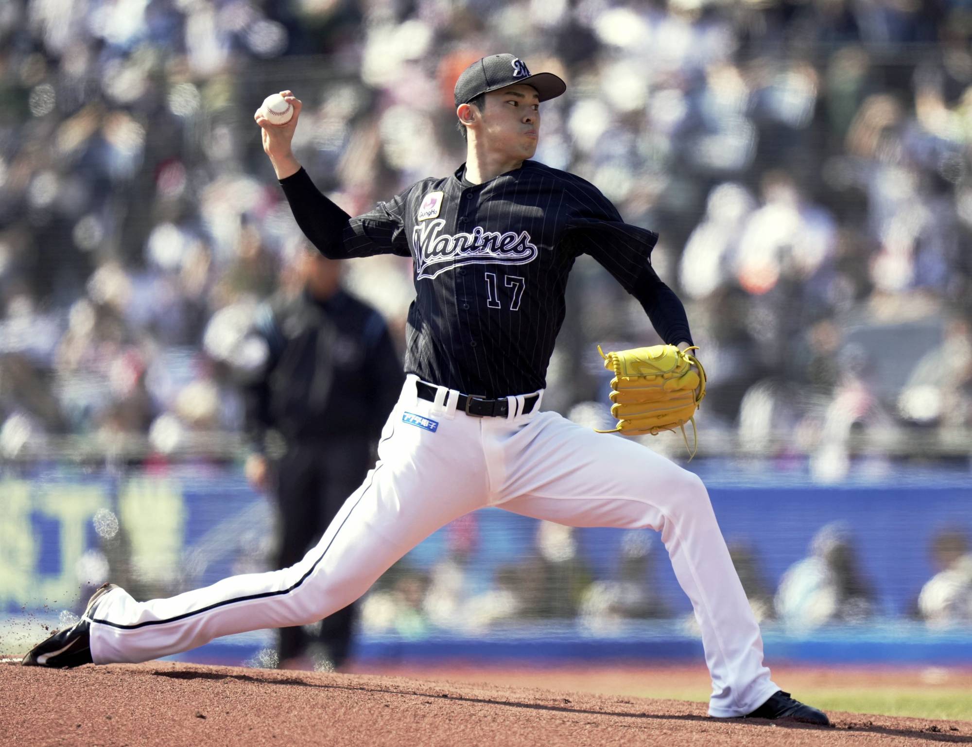 Japanese MLB Players 2022 Recap: Ohtani, Darvish Stand Out