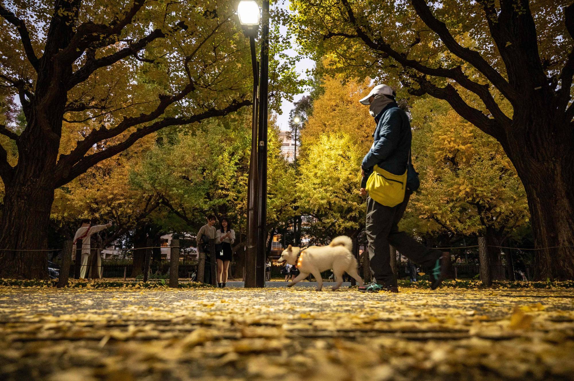 The streets of Tokyo on Tuesday  | AFP-JIJI
