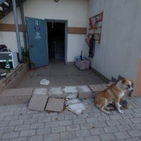 An entrance to a police station which Ukrainians say was used by Russian service members for jailing and torturing people before Russia\'s retreat from Kherson | REUTERS 
