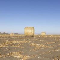 Farmland outside of Clark, South Dakota, on Oct. 26. A series of economic forces — including high prices for commodity crops, a robust housing market, low interest rates and a slew of government subsidies — have converged, pushing the price of farmland sky-high.  | TIM GRUBER — THE NEW YORK TIMES