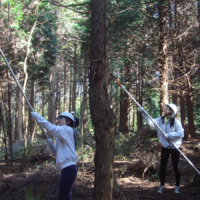Suntory employees pruning trees | SUNTORY