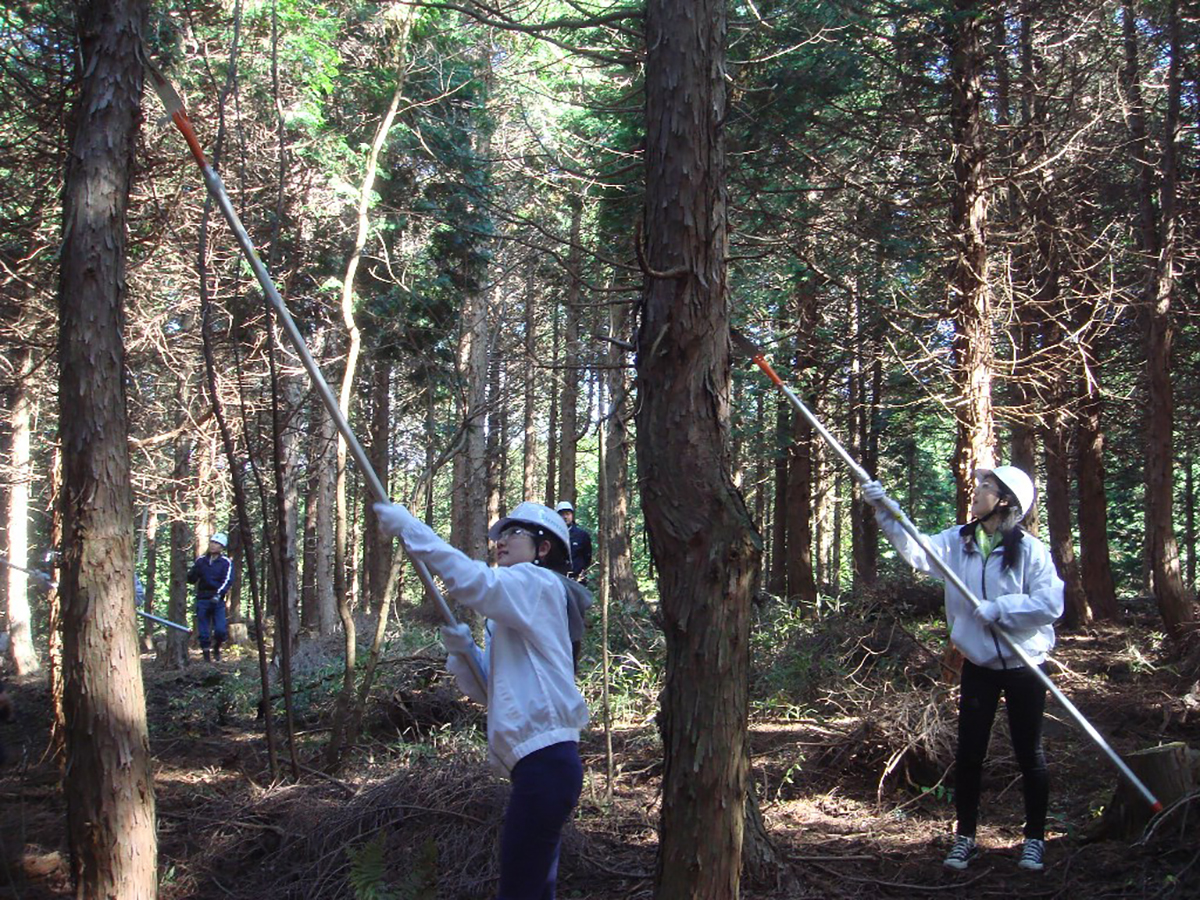 Suntory employees pruning trees | SUNTORY