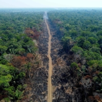 A deforested and burnt area is seen on a stretch of the Trans-Amazonian highway in Humaita, Brazil, on Sept. 16. According to the National Institute for Space Research, hotspots in the Amazon region saw a record increase in the first half of September, averaging 1,400 fires per day for the month. | AFP-JIJI