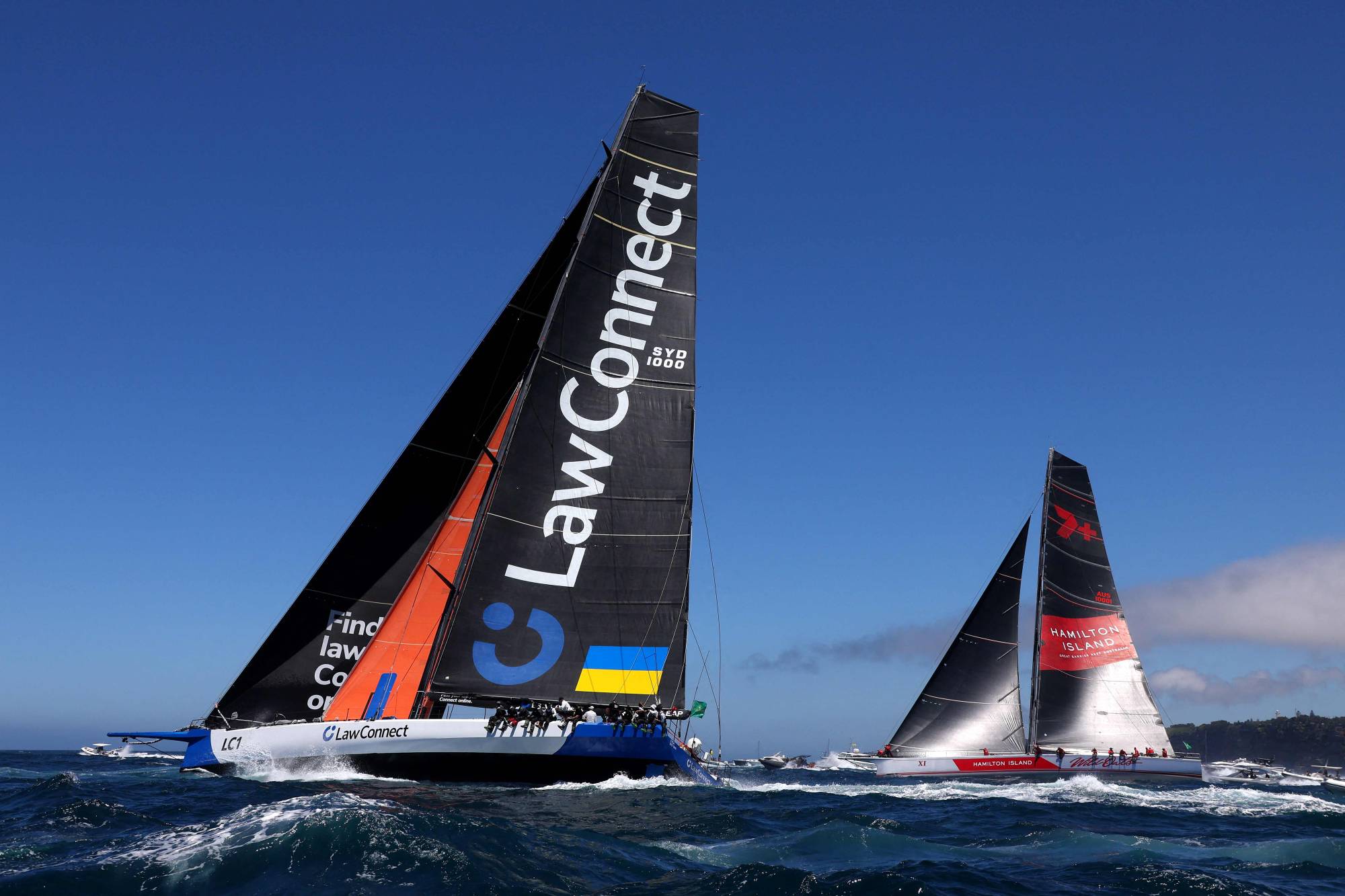 sydney to hobart yacht with a cat