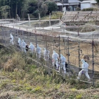 Fukuoka Prefectural Government officials walk to an emu farm in the city of Koga on Jan. 3 amid a bird flu outbreak. 
 | KYODO