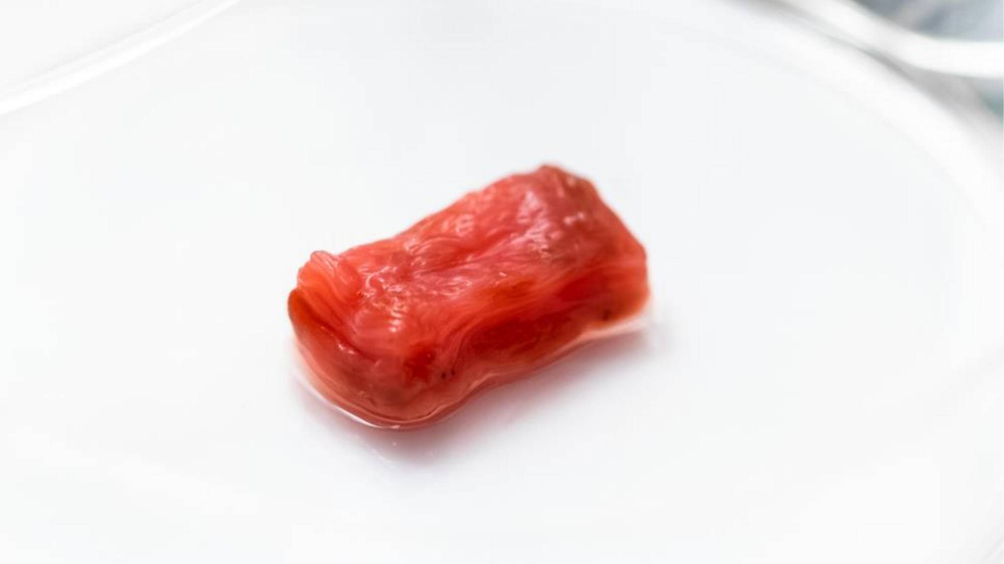 Japanese researcher pushes the boundaries of lab-grown 'real' meat