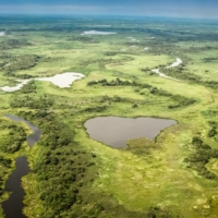 The Pantanal wetlands in Brazil. Wetlands provide critical benefits to humanity, including flood defense, water storage and biodiversity protection. | GETTY IMAGES