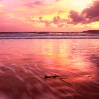 Sawako Nakayasu’s poetic composition \"Pink Waves\" offers a moving study on grief and otherness. | GETTY IMAGES